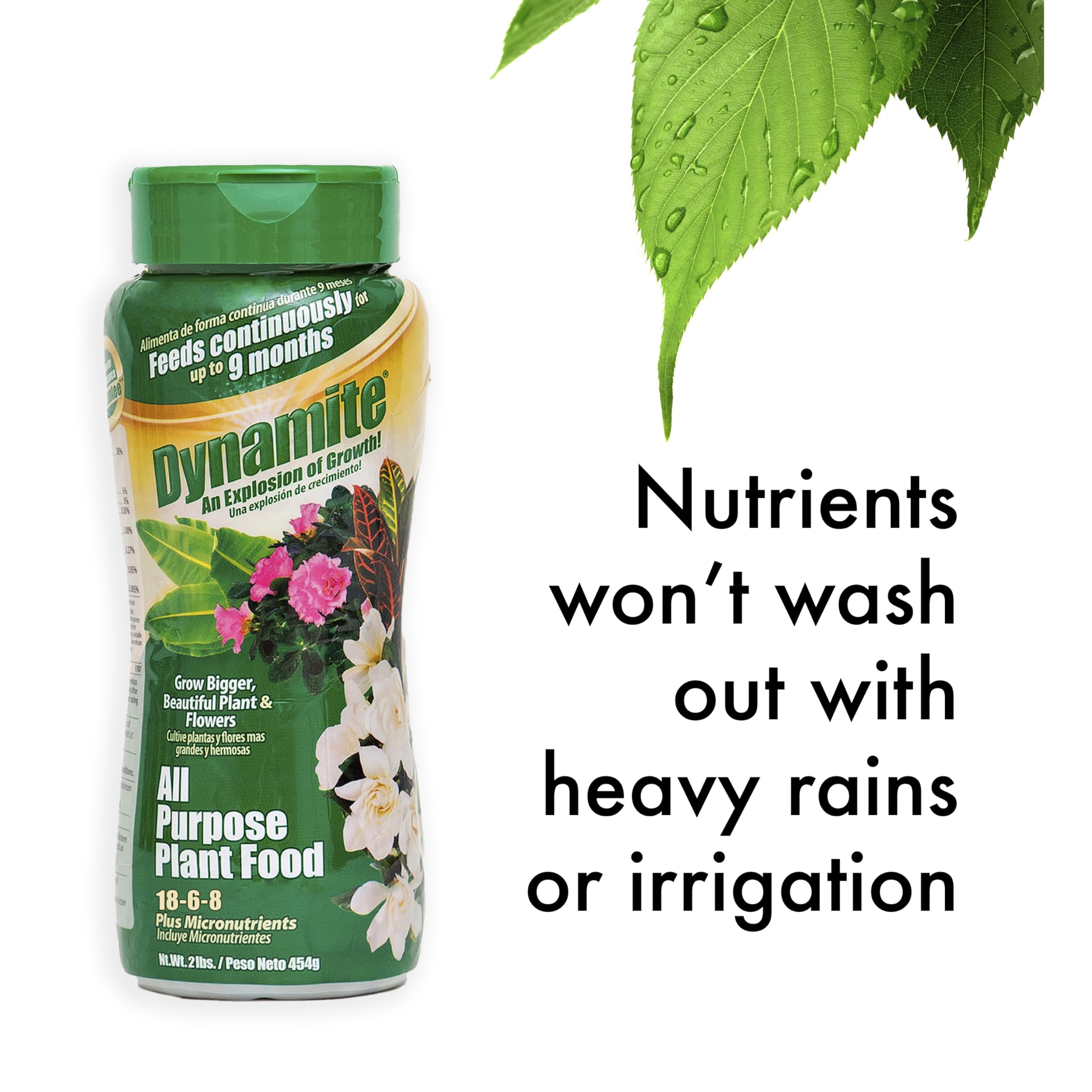 Amazon.com : Dynamite 2 lb All Purpose 9 Month Plant Food : Patio